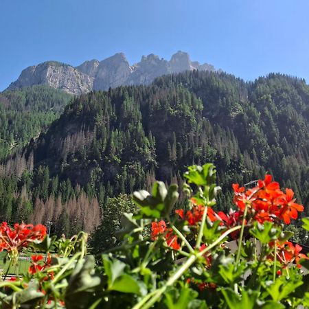 Residence Marmolada 罗卡皮耶托雷 外观 照片